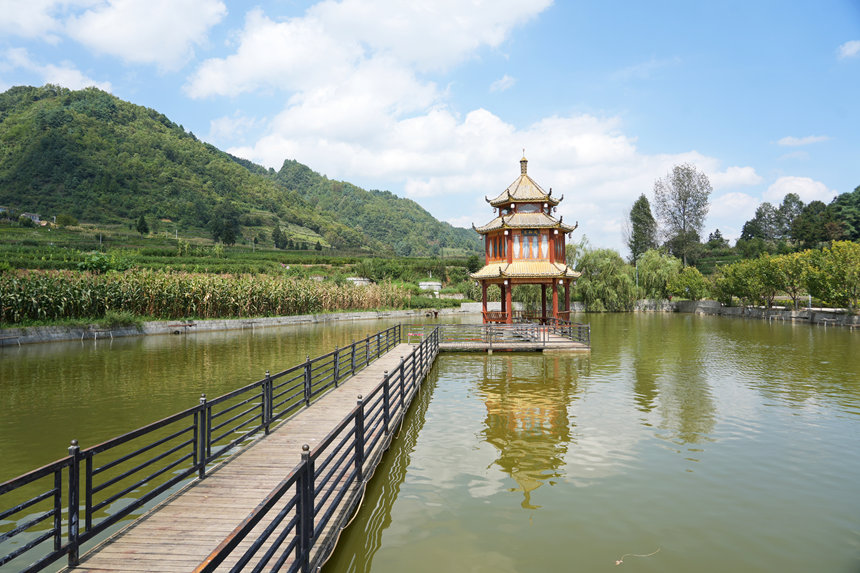 贵州省毕节市纳雍县龙场镇新塘社区华平生态园鱼塘一角。杨英摄