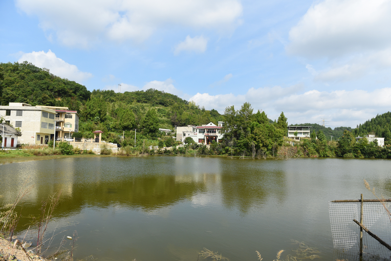 2025年9月4日，贵州省黔西市甘棠镇大锡社区林角塘修复道路旁的垂钓池塘。张晶摄