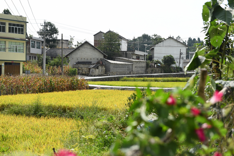 9月4日，贵州省黔西市甘棠镇大锡社区林角塘修复好的道路。张晶摄