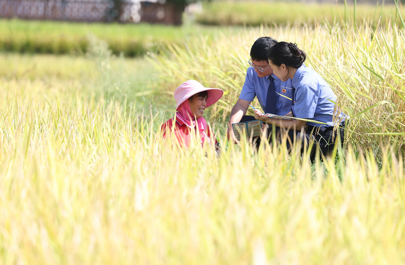 2025年9月4日，检察干警在贵州省铜仁市玉屏侗族自治县亚鱼乡郭家湾村向农户宣传防范电诈、民法典等法律知识。