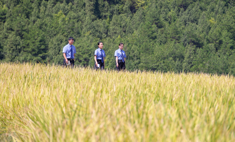 2025年9月4日，检察干警在贵州省铜仁市玉屏侗族自治县亚鱼乡郭家湾村向农户宣传防范电诈、民法典等法律知识。