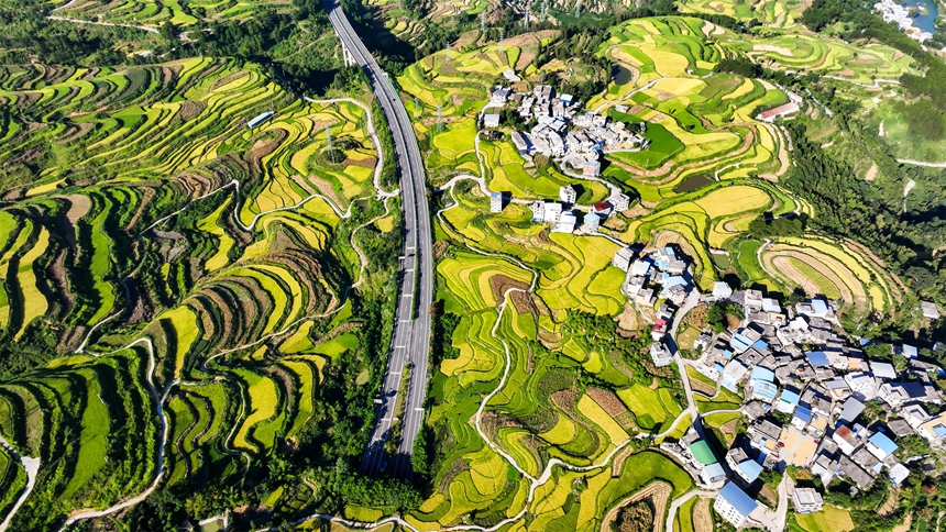 2025年9月1日，在贵州省黔南布依族苗族自治州罗甸县沫阳镇，余安高速穿过羊场梯田。 