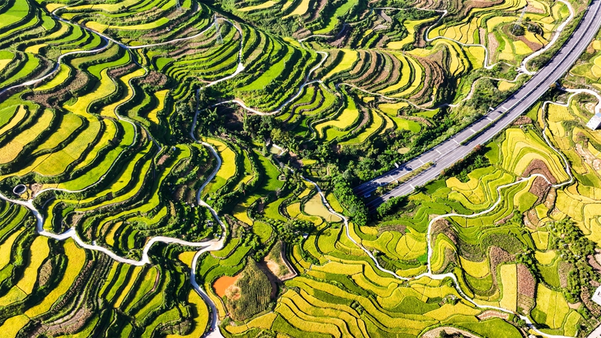 2025年9月1日，在贵州省黔南布依族苗族自治州罗甸县沫阳镇，余安高速穿过羊场梯田。