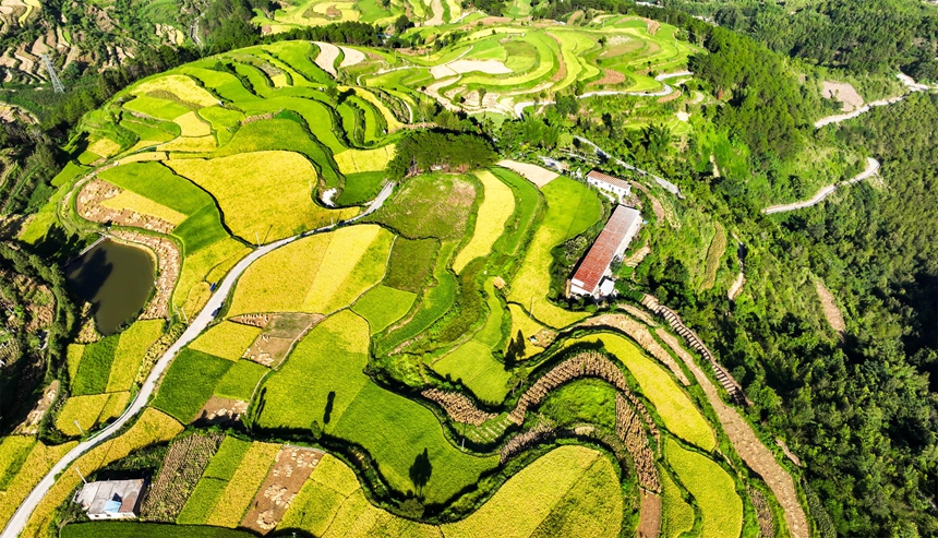 2025年9月1日拍摄的贵州省黔南布依族苗族自治州罗甸县沫阳镇红星村的通村路。