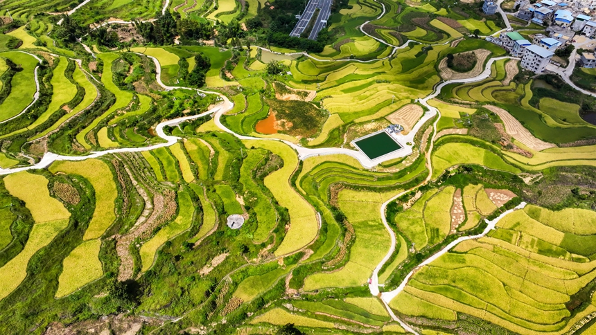 2025年9月2日拍摄的贵州省黔南布依族苗族自治州罗甸县沫阳镇红星村的产业路。