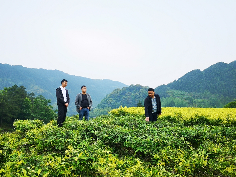 貴州江口：強村富民“領頭雁” 服務群眾“貼心人” 。