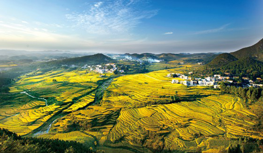 郭家灣梯田。譙夫攝