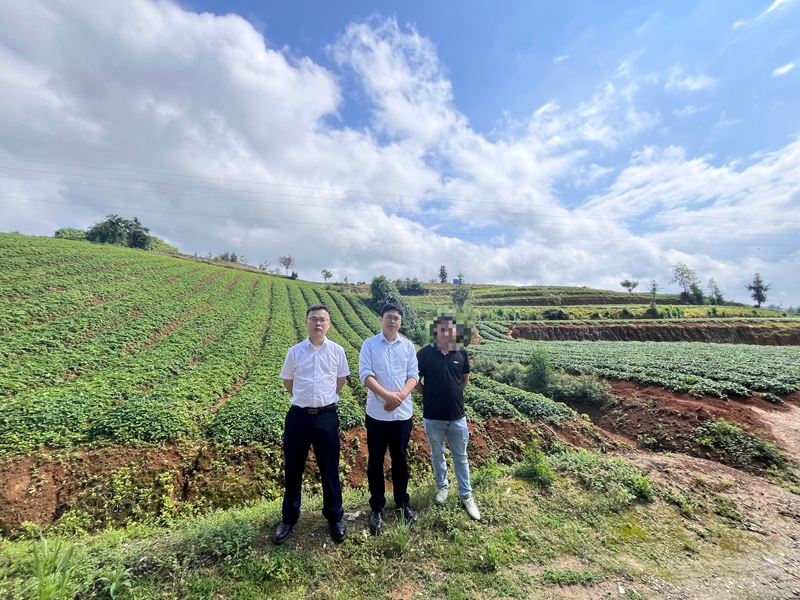 2 圖為該行工作人員到施秉縣太子參種植基地了解種植情況,並開展貸款盡職調查。.jpg