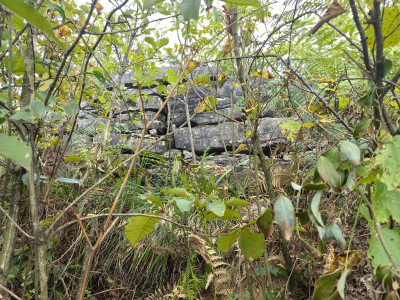 双堡村古营盘石墙。姜继恒摄