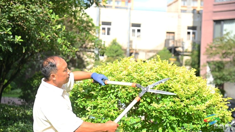 松桃推行酬金制物业新模式 三试点小区破解纠纷难题获好评。