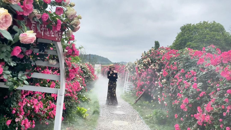 游客在萌遇桃花岛拍照。