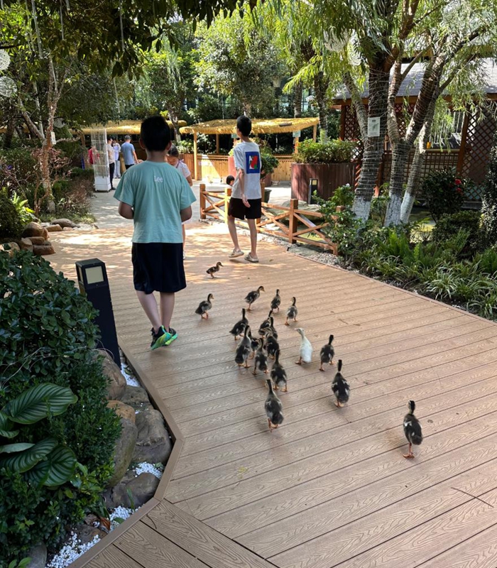 贵阳铂尔曼大酒店新场景点燃南明秋季文旅市场。