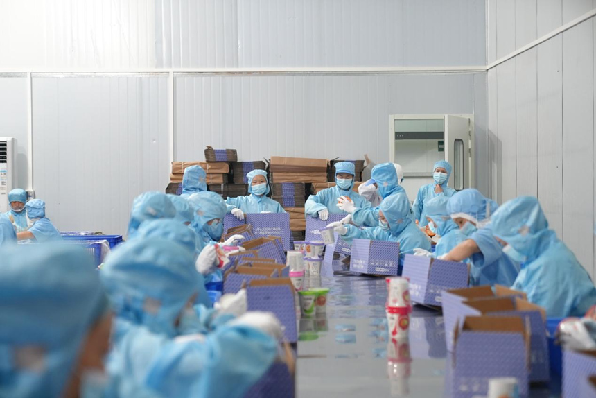 红薯粉产品封装。