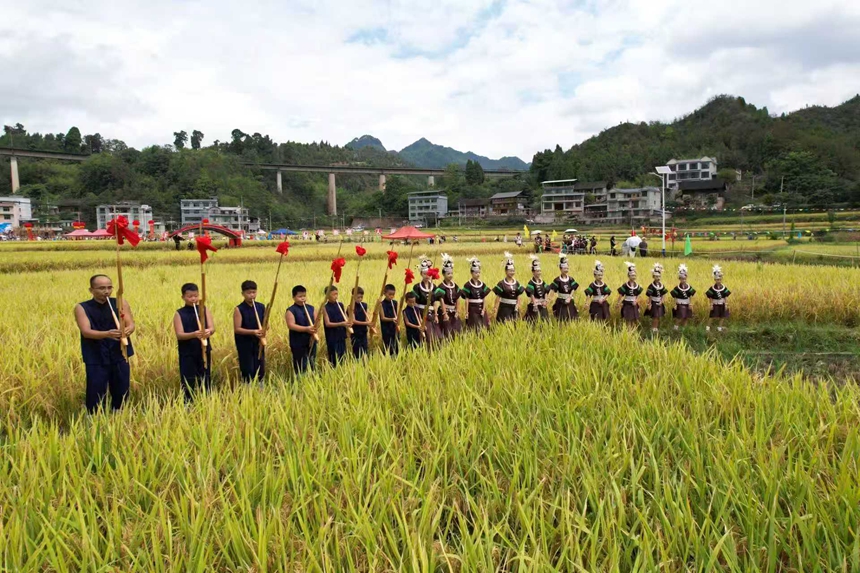 2025年9月13日，貴州省凱裡市萬潮鎮馬田村，師生們在田間吹奏蘆笙跳蘆笙舞鬧豐收。（無人機照片）周建國攝