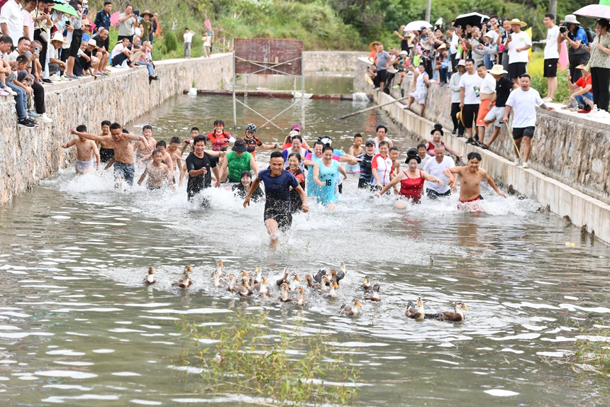 2025年9月13日，貴州省凱裡市萬潮鎮馬田村，群眾在水中捉鴨子競賽鬧豐收。楊仁海攝