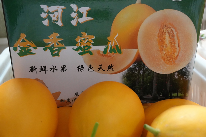 包装好的金香蜜瓜(张国民摄).jpg