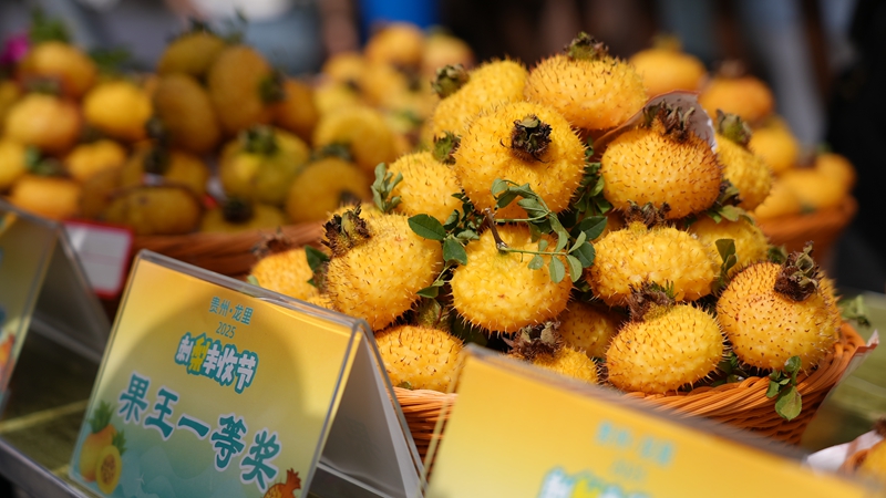 4 “刺梨果王”一等奖