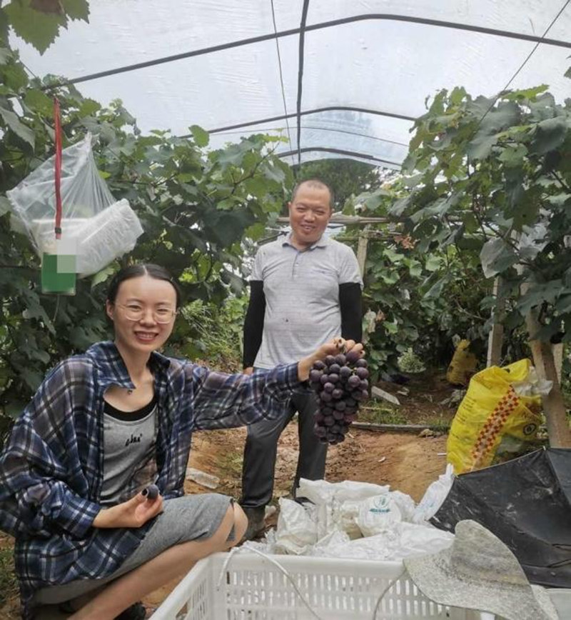 苏流芳帮助农户销售水果。
