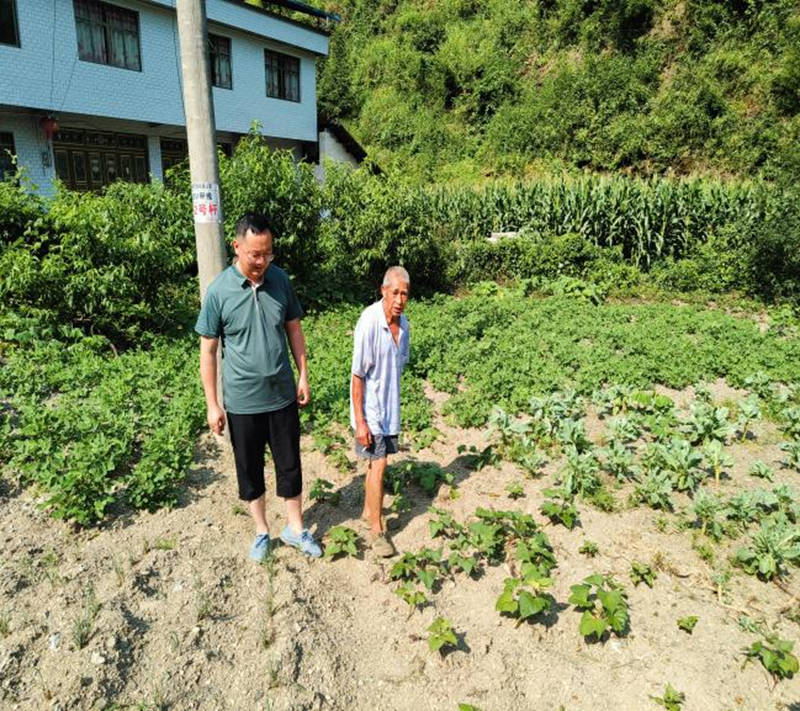 黄林了解村民农作物生产情况。