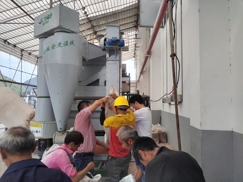 土城镇黔沿村驻村队协助村民用设备处理红粱，保障品质。习水融媒体中心供图