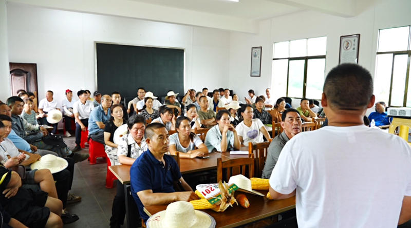 田间地头选良种 技术培训促增收。