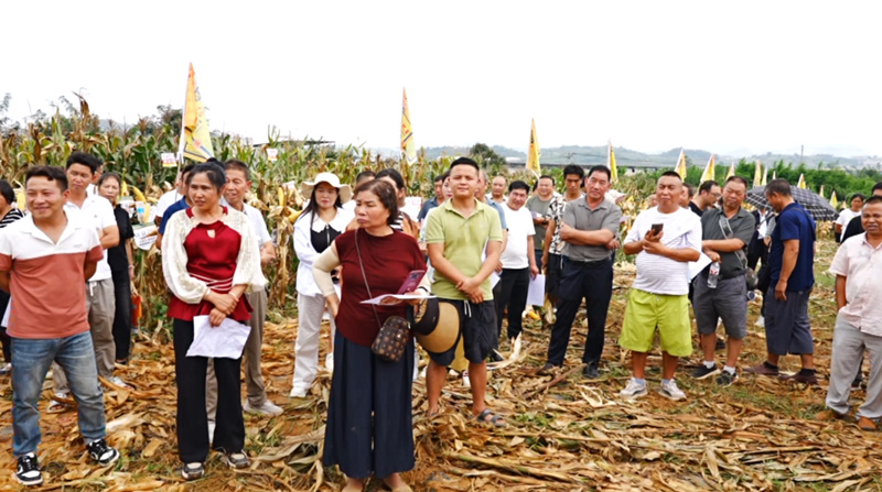 田间地头选良种 技术培训促增收。