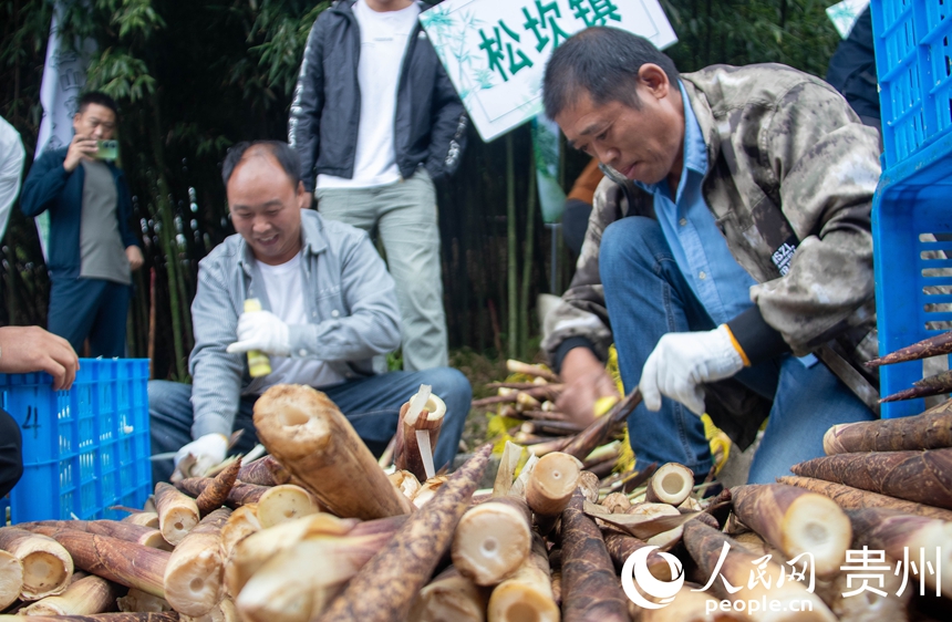 农户正在剥方竹笋。人民网 黄小桃摄