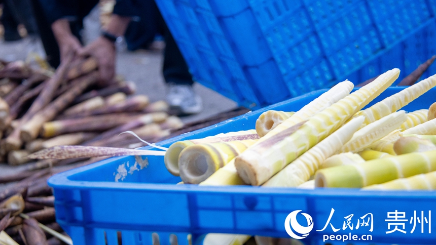 已经剥好的方竹笋。人民网 黄小桃摄