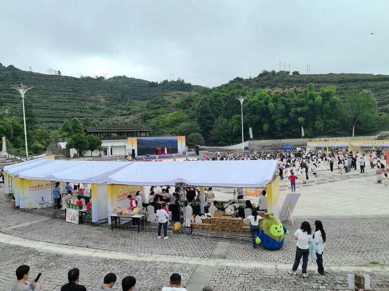大会活动现场。李宇摄