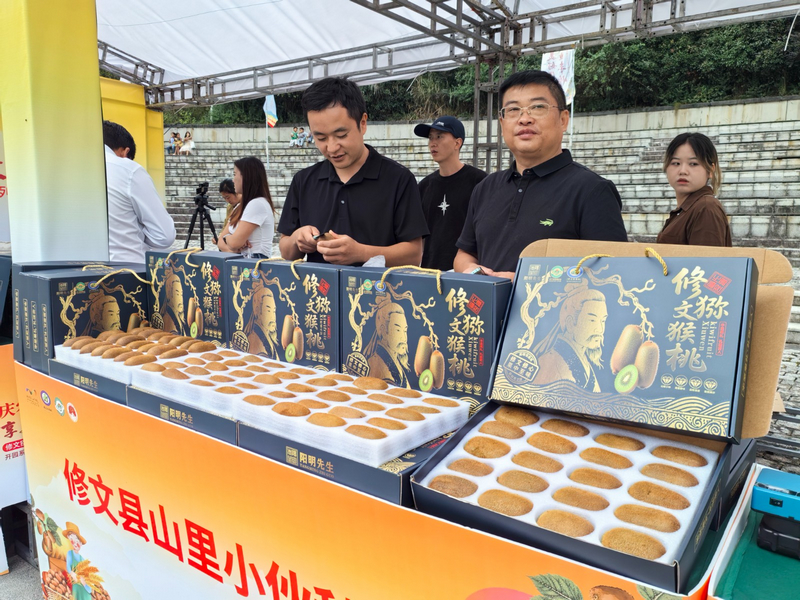 修文猕猴桃展示区。王晓亚摄