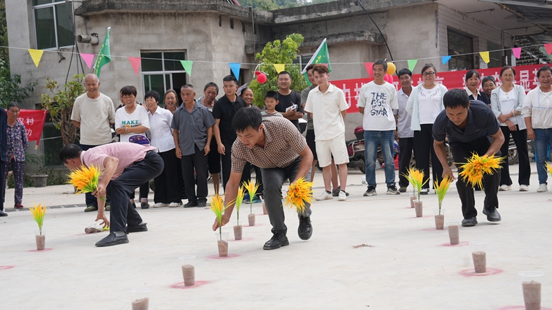 选手们正在进行插秧比赛。