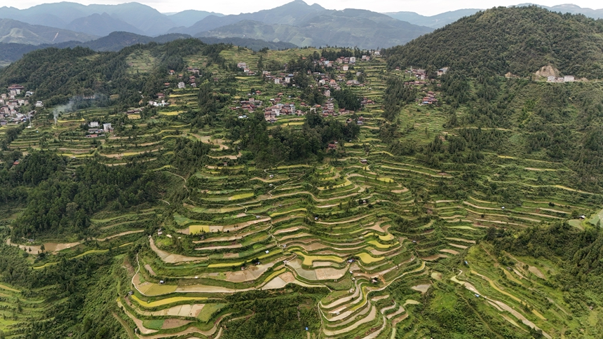 南寨白都梯田。