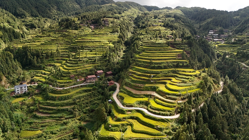 南寨九社梯田。