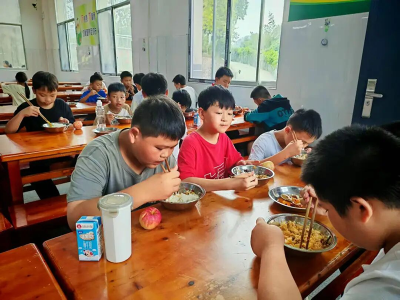 学生享用可口的营养午餐。