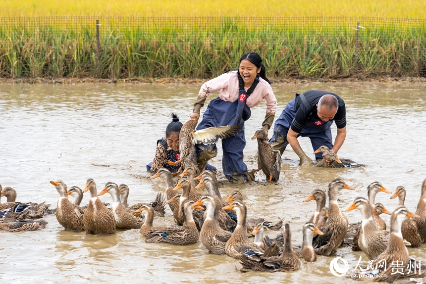 抓鴨子比賽現場。人民網記者 涂敏攝