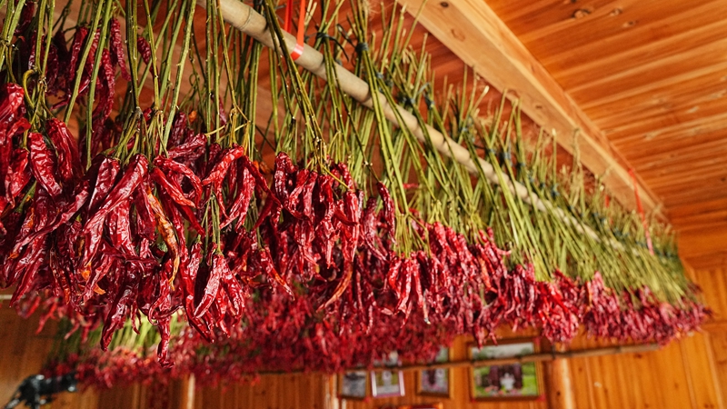 村民家晾晒的辣椒。罗峥铭摄 (2)