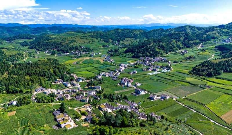 贵州黔西林泉镇：“小箱”落地促变貌  东西协作添“颜”值 (2)