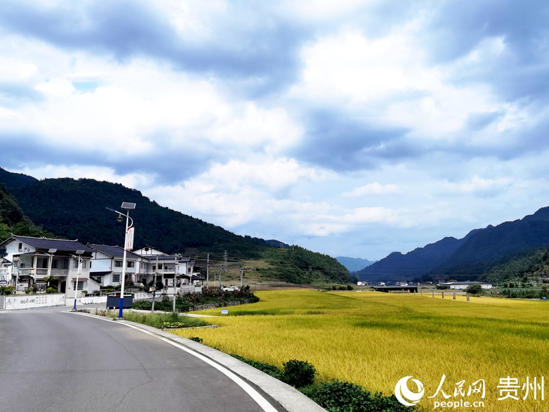 黄鱼村一隅。人民网记者 王秀芳摄
