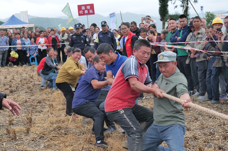 图为：旱地拔河现场