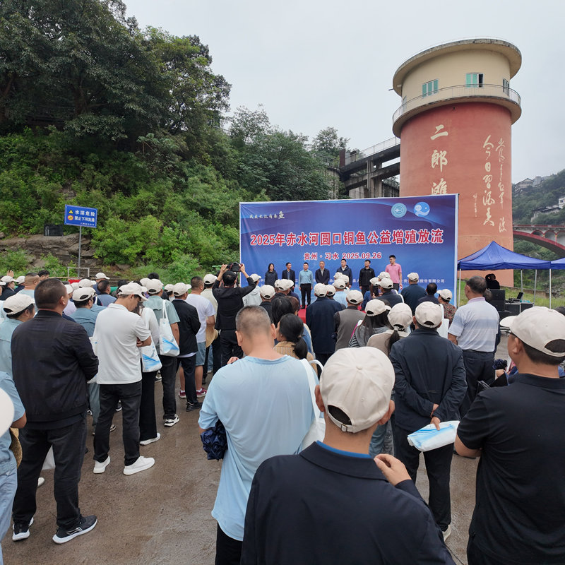 举行放流仪式现场。税会静摄