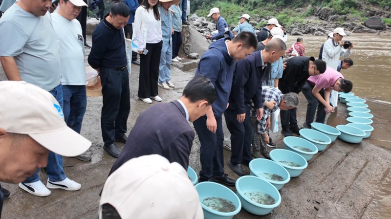 放流现场。税会静摄