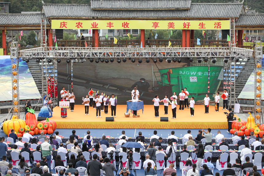 贵定县宝山街道产业发展成果展示。石银超摄