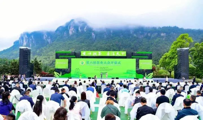 梵山净水育新机 抹茶飘香兴乡村。