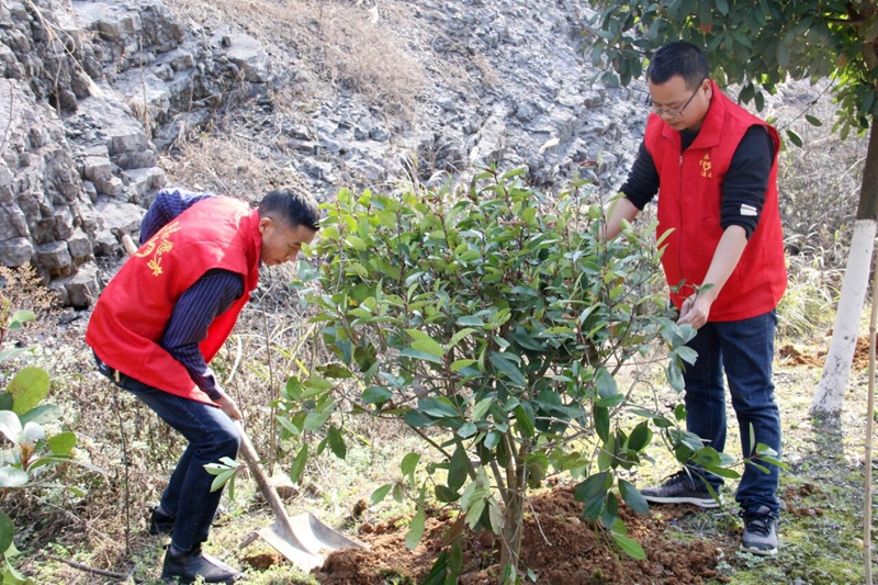 5 图为青年志愿者在公路沿线开展绿化植树活动.jpg