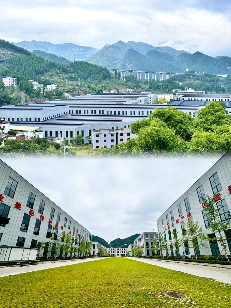 2、村頭矗立起的俊豐包材園區，為村民提供了家門口就業的機會。王燁 攝.jpg