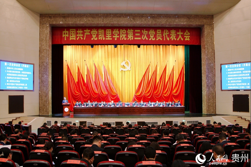 大会现场。人民网 龙章榆 摄.jpg