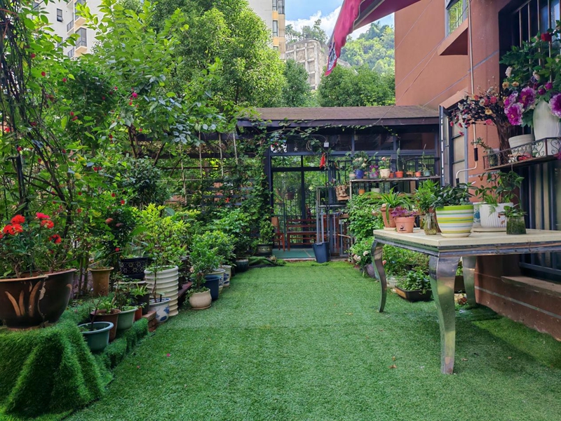 卫生家庭庭院。