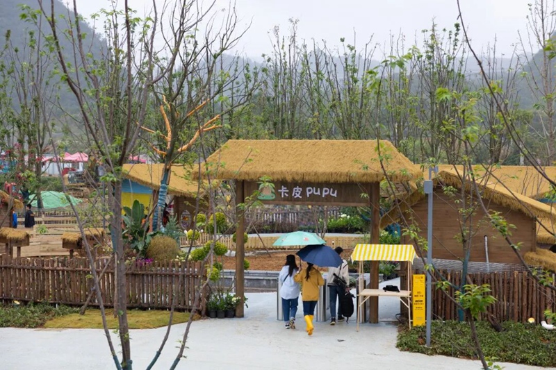 5、卡皮pupu萌宠馆 。