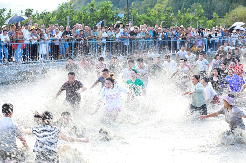 参赛选手正在激烈抓鸭子。 吴麟钦 摄