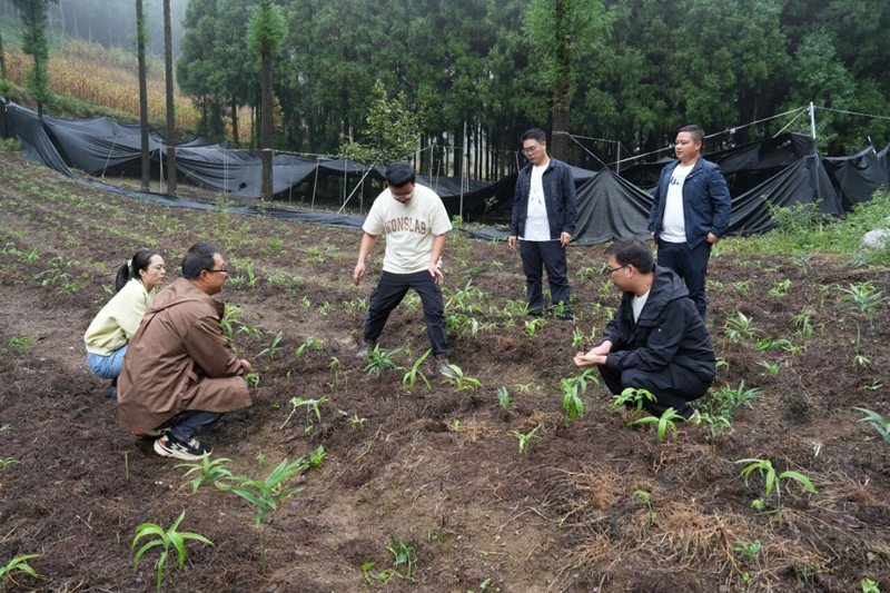 工作人员正在指导村民。